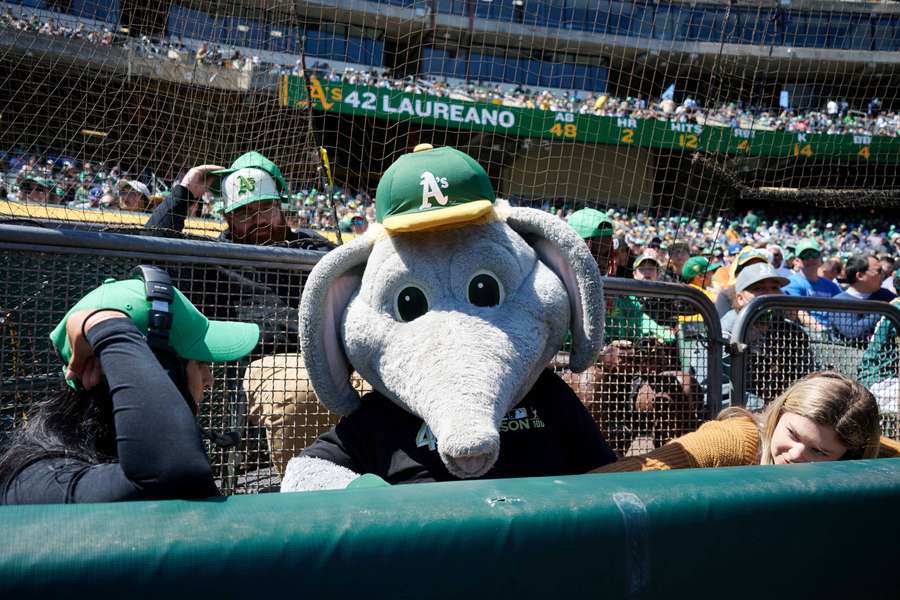 Celebrate Stomper, the greatest (and only) elephant mascot in the Major  Leagues