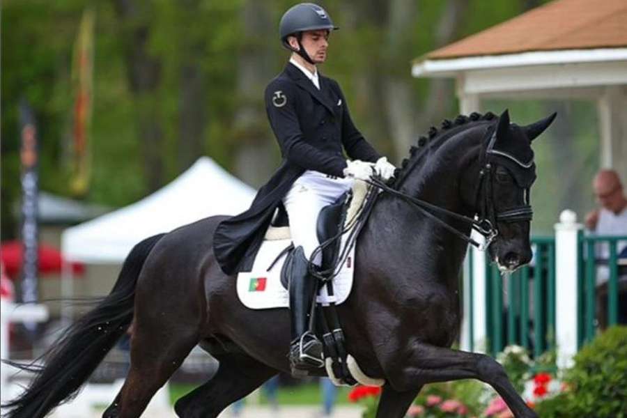 António do Vale vai participar no Dressage