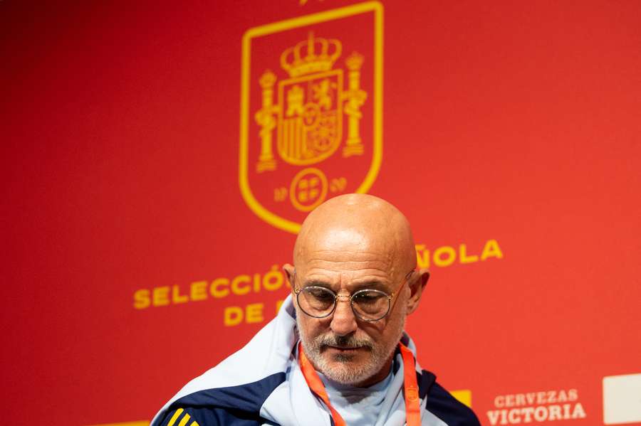 Spain coach Luis de la Fuente