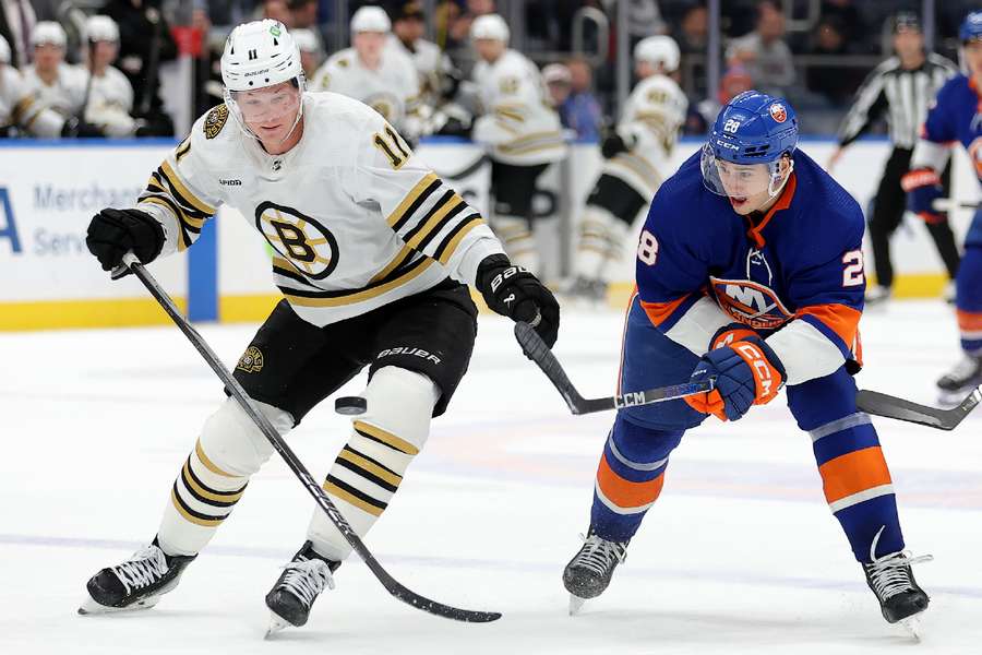 Bruins centre Frederic fights for the puck against Islanders defenseman Romanov