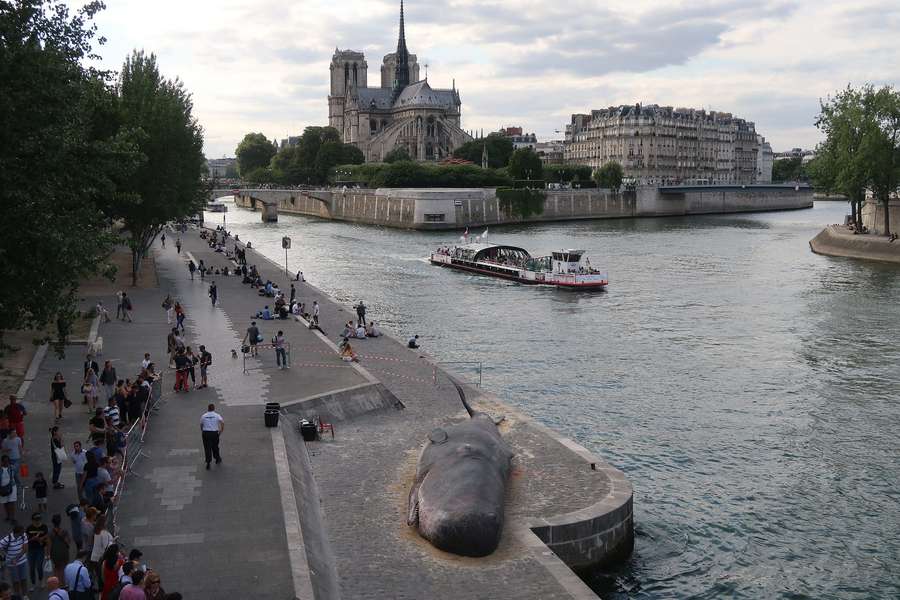 El río Sena, en París 