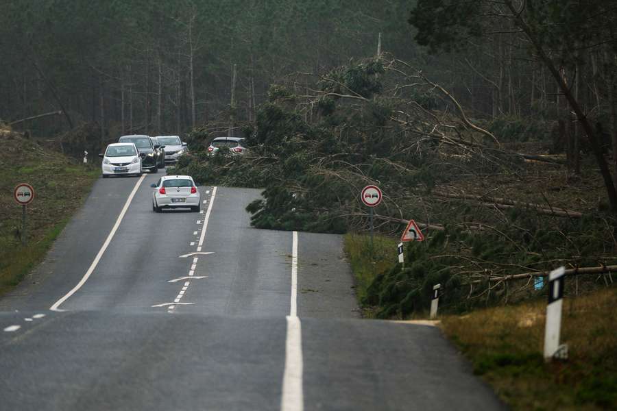Estrada nacional 242, que liga Marinha Grande a Nazaré