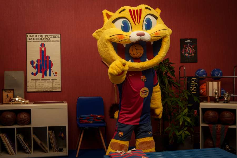A mascote Gato A mascote Gato