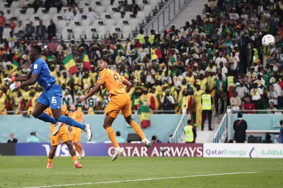 Gakpo define el gol de los Países Bajos ante Senegal