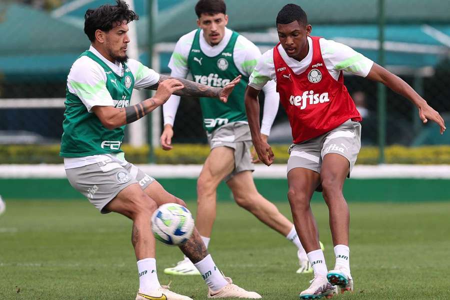 Palmeiras vai até Belo Horizonte com a missão de vencer o América-MG antes de duelo pela Libertadores