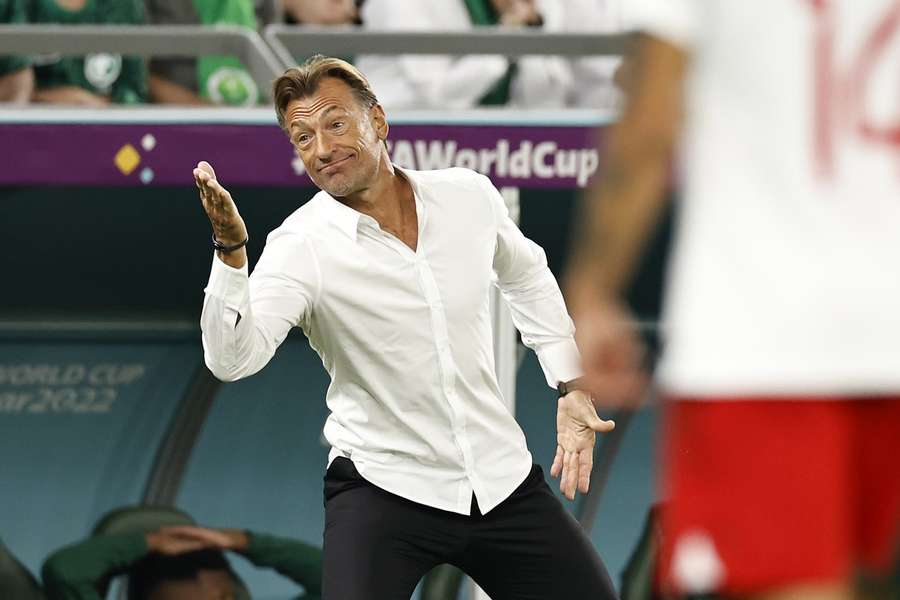 Hervé Renard tijdens de wedstrijd tegen Polen