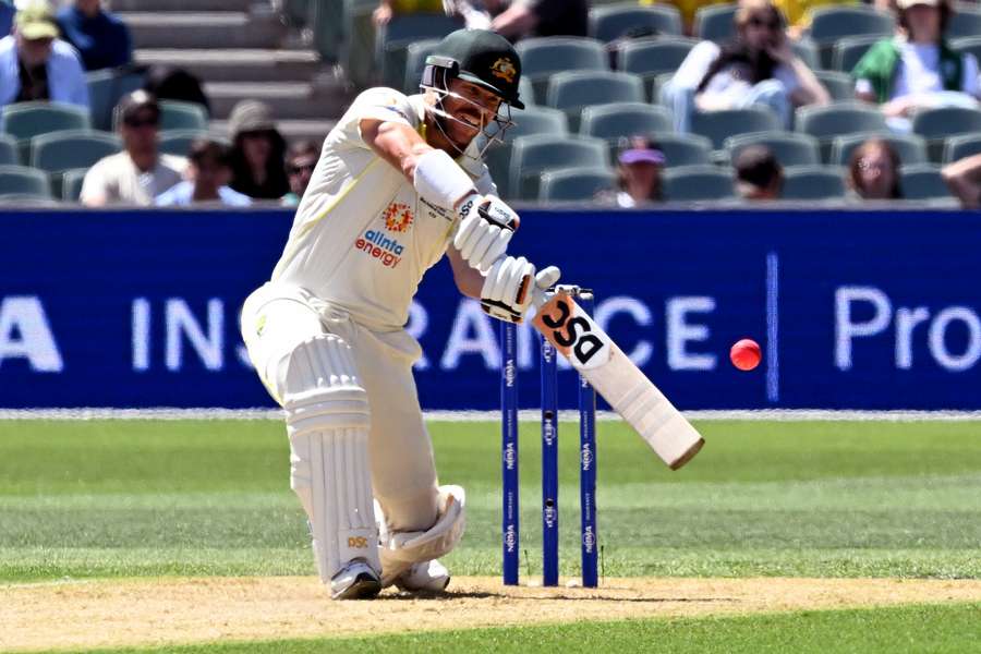 David Warner withdrew his appeal against his lifetime leadership ban