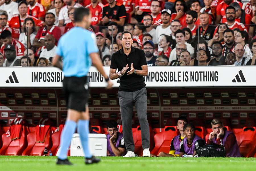 Roger Schmidt, treinador do Benfica