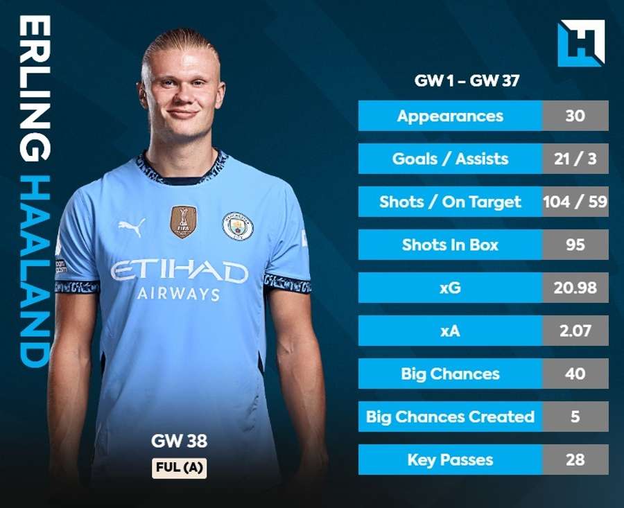 Erling Haaland stats Erling Haaland stats