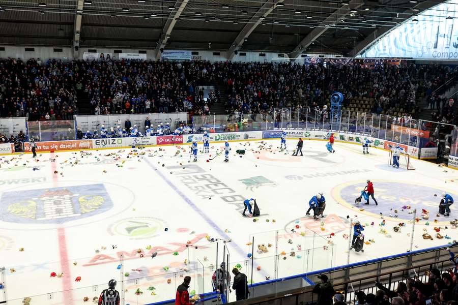 Teddy Bear Toss w Oświęcimiu