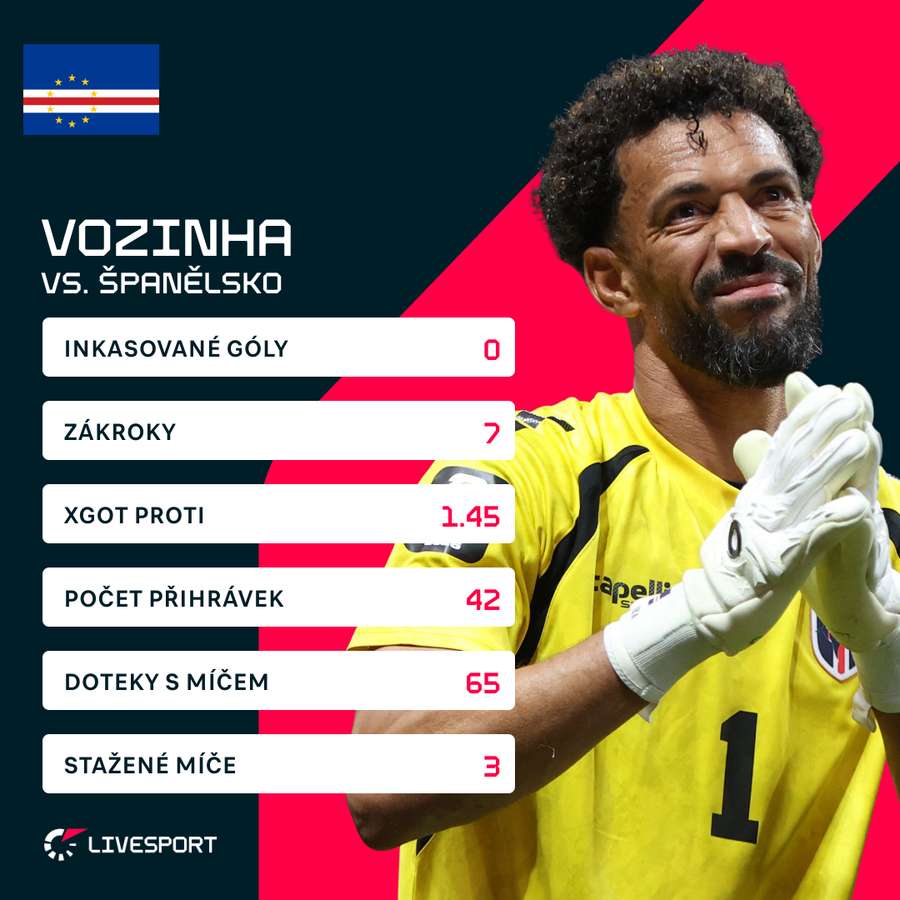 Statistiky brankáře Vozinhy. Statistiky brankáře Vozinhy.