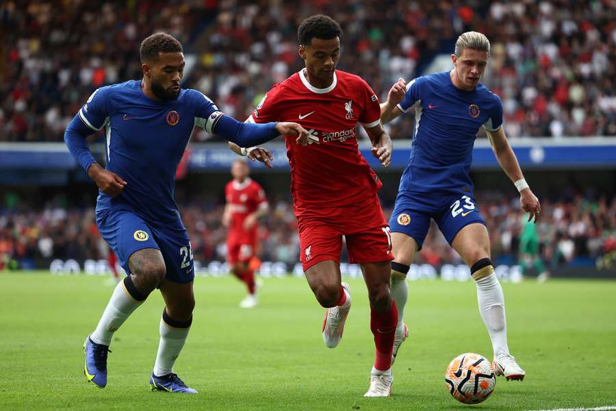 Liverpools Cody Gakpo (M.) gegen Connor Gallagher (r.) und Reece James (l.)