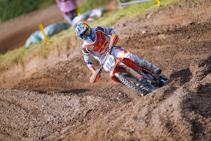 Herlings in actie in Zweden