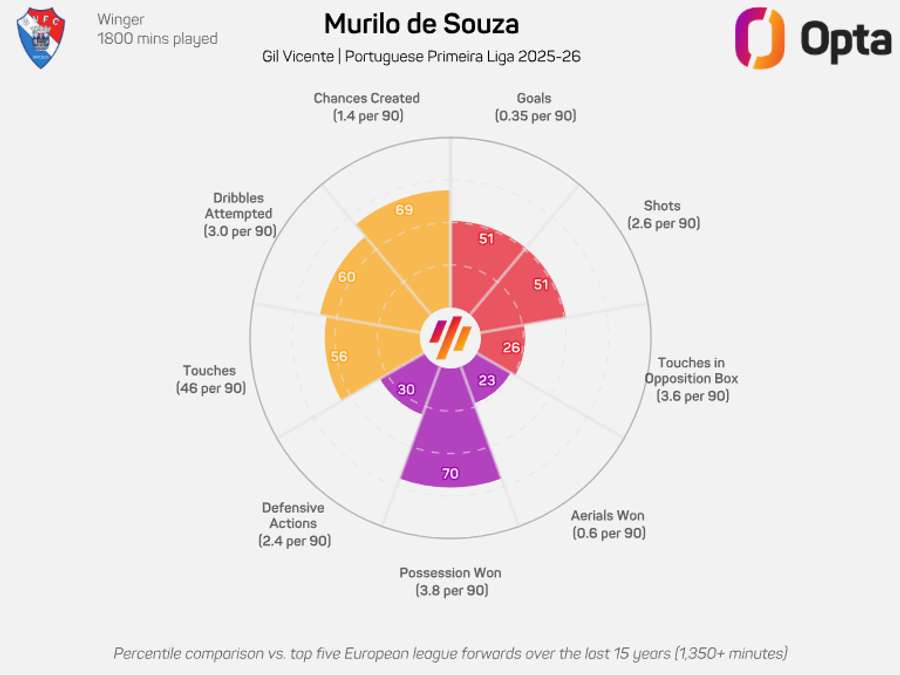 O gráfico donut de Murilo