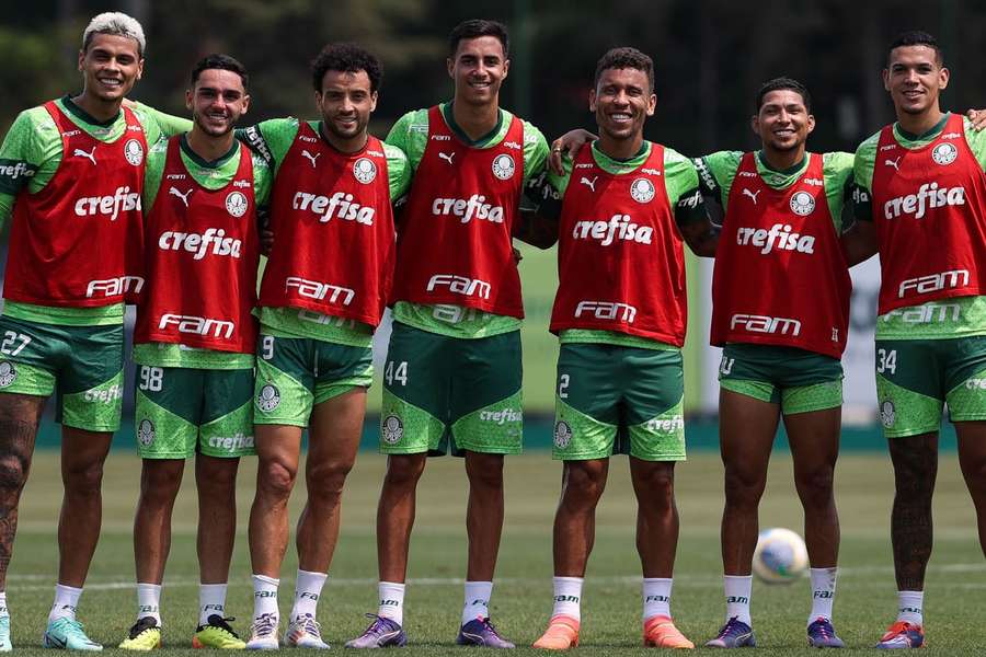 Palmeiras quer seguir em ascensão no Brasileirão em busca do topo da tabela