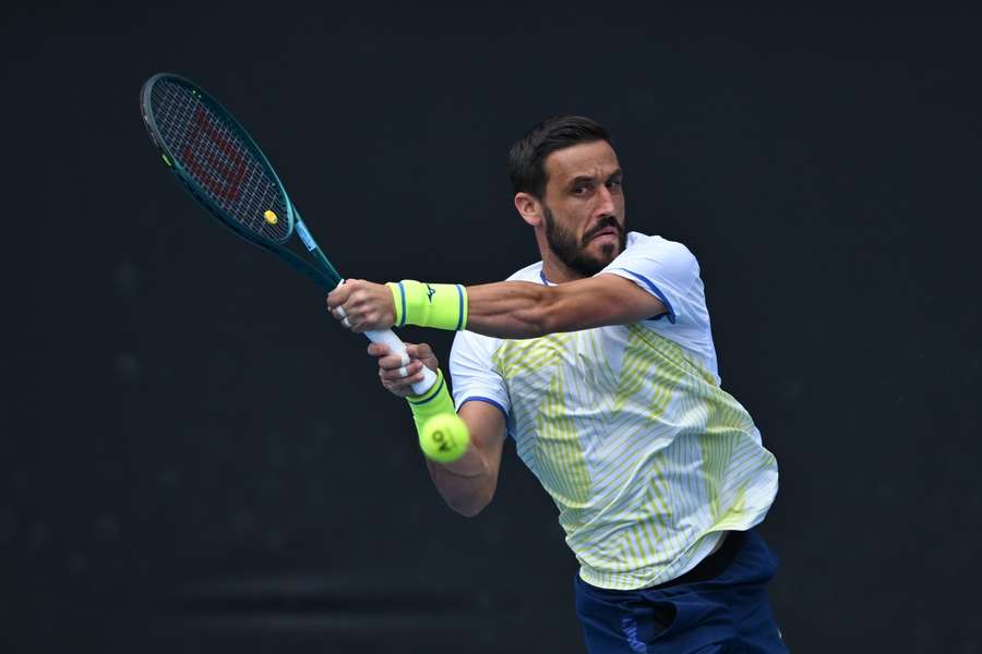 Damir Dzumhur