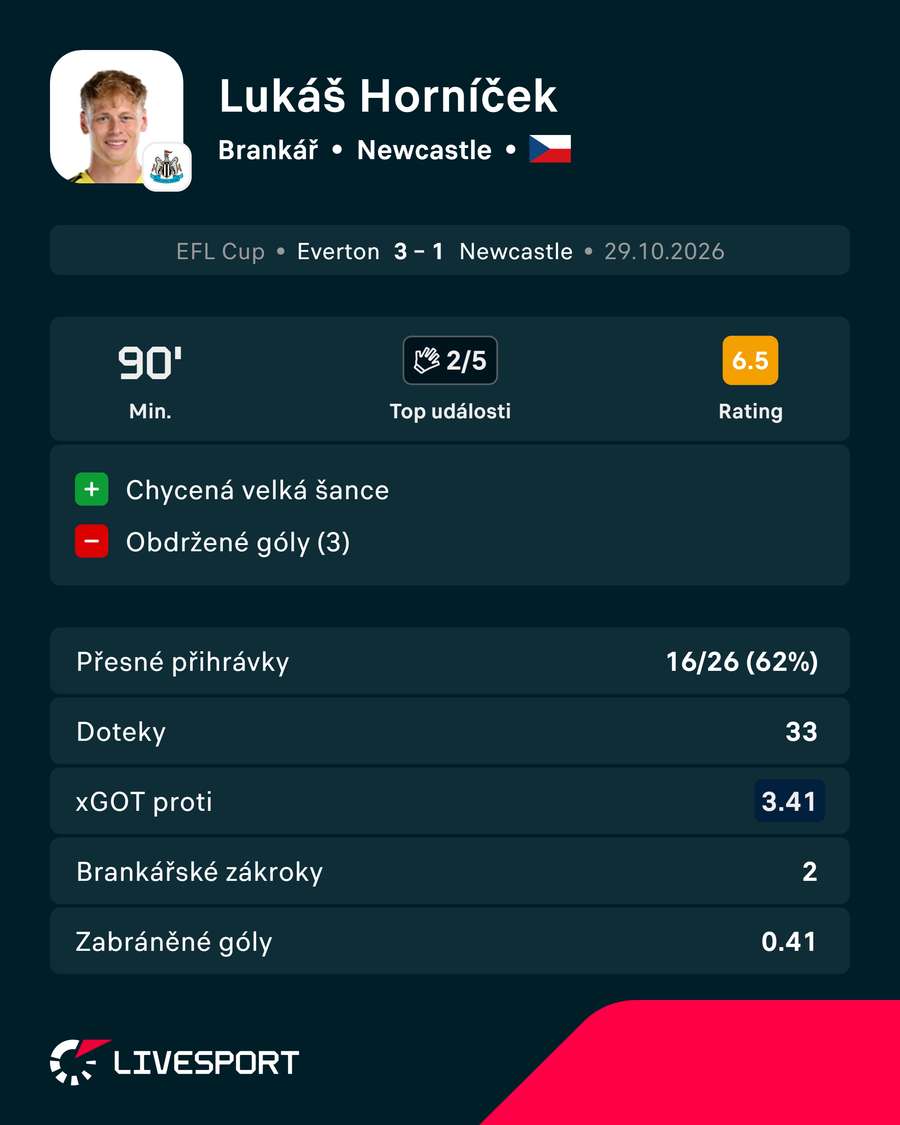 Horníčkovy zápasové statistiky.