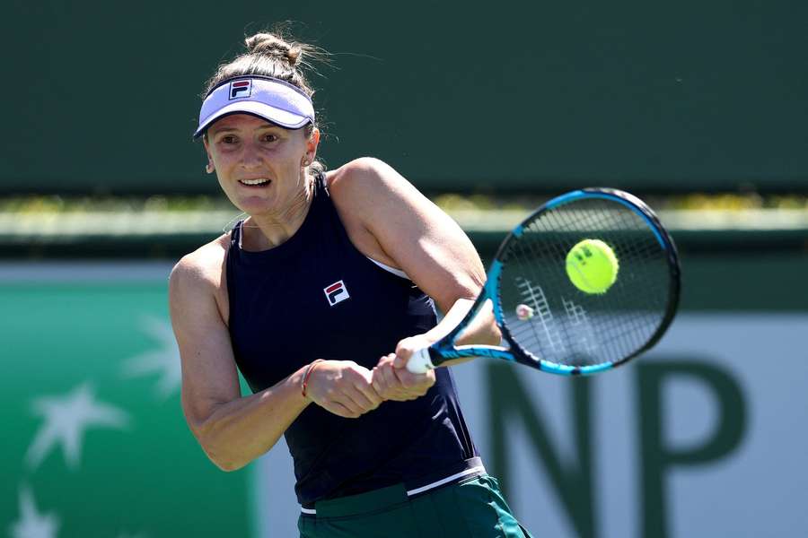 Irina Begu 