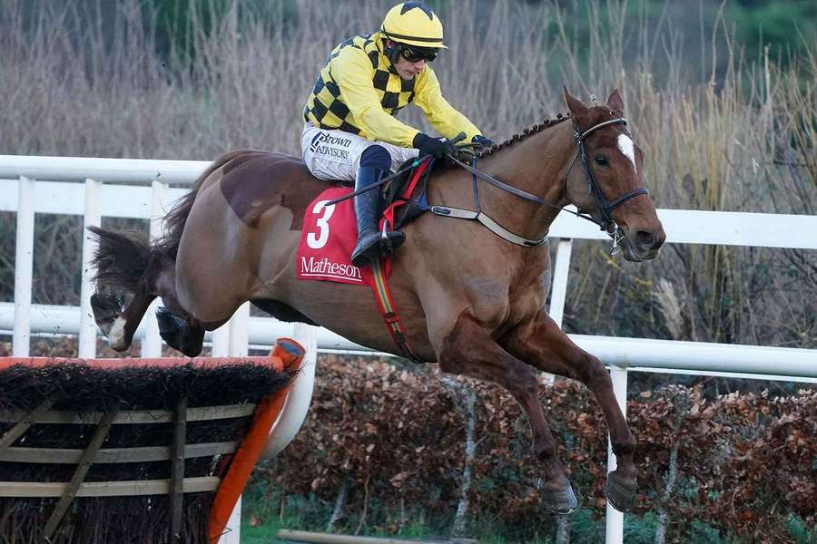 Irish Champion Hurdle predictions, best bets and odds