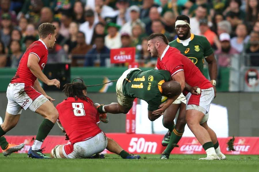 Wales to meet England, South Africa in World Cup warm-up tests