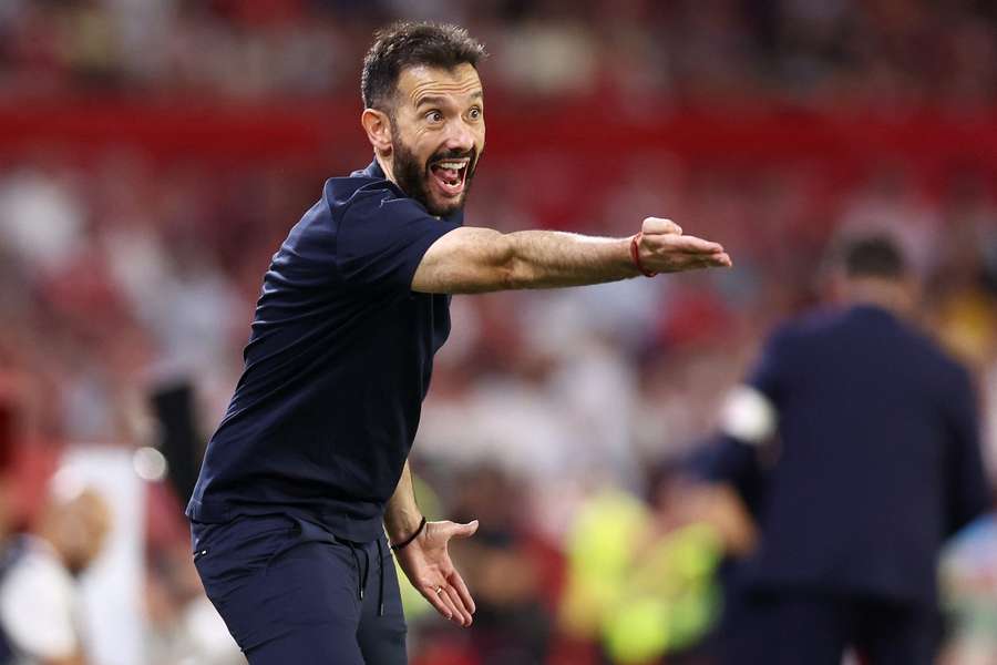 Carlos Corberan reacts on the touchline