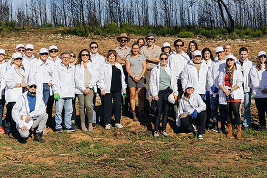 40 voluntários plantaram 450 árvores em Cascais