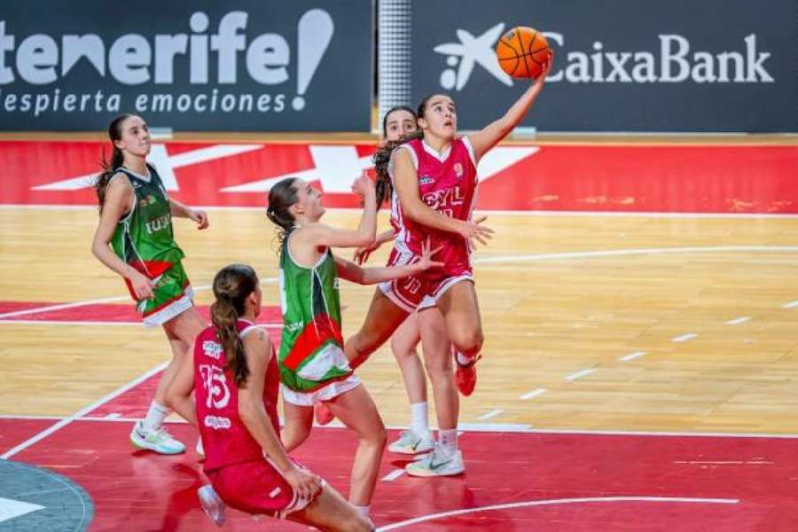 Nuevo récord de jugadores de baloncesto en España 